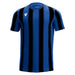 Blue and black striped sports jersey on a white background