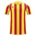 Yellow and red striped shirt on a white background
