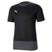 Puma TeamGOAL Training Shirt in black