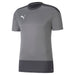 Puma TeamGOAL Training Shirt in grey