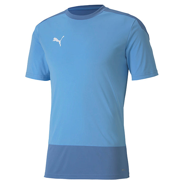 Puma TeamGOAL Training Shirt in sky blue