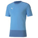 Puma TeamGOAL Training Shirt in sky blue
