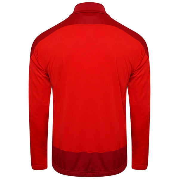 Puma TeamGOAL Training Jacket
