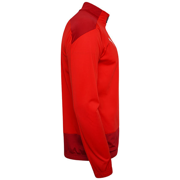 Puma TeamGOAL Training Jacket