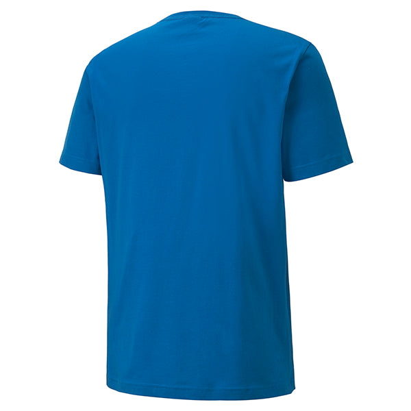 Puma TeamGOAL Casuals Tee in blue