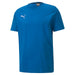 Puma TeamGOAL Casuals Tee in blue