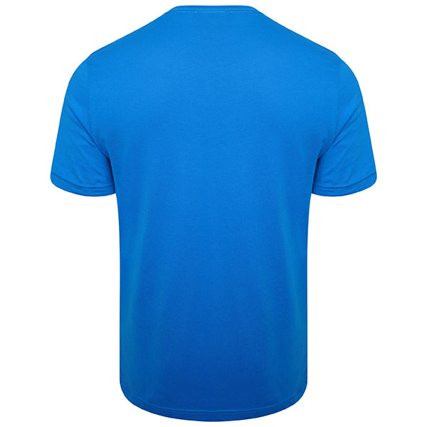 Puma TeamGOAL Casuals Tee in blue