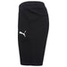 Puma TeamGOAL Casuals Shorts in black