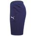 Puma TeamGOAL Casuals Shorts in navy