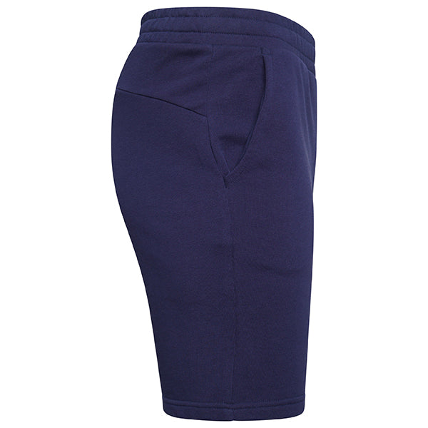 Puma TeamGOAL Casuals Shorts in navy