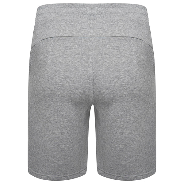 Puma TeamGOAL Casuals Shorts in grey