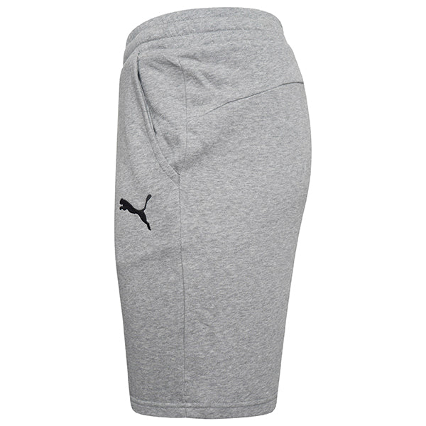 Puma TeamGOAL Casuals Shorts in grey
