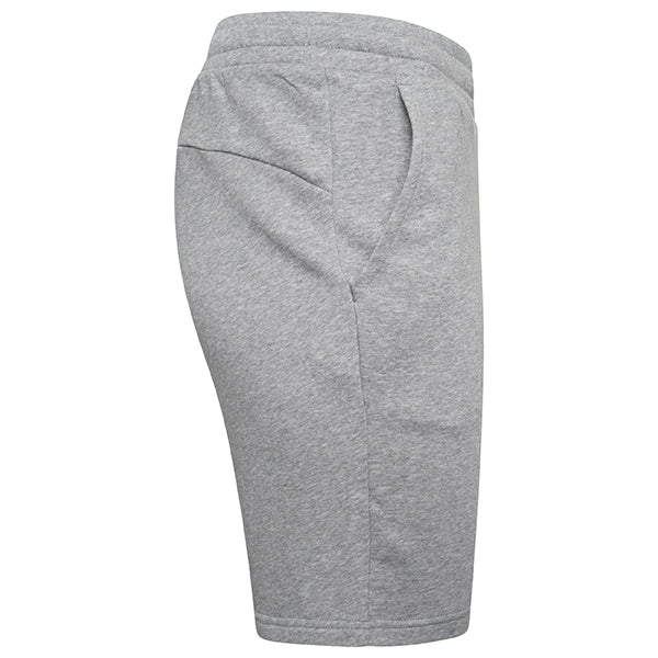 Puma TeamGOAL Casuals Shorts in grey