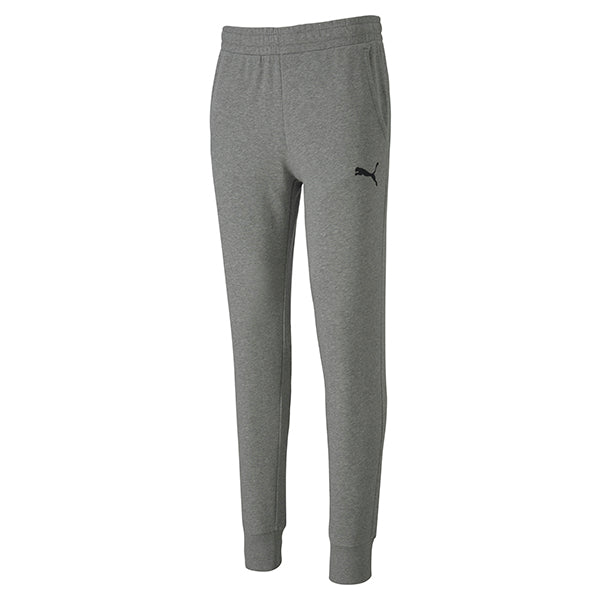 Puma TeamGOAL Casuals Pants in grey