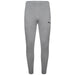 Puma TeamGOAL Casuals Pants in grey