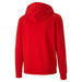 Puma TeamGOAL Casuals Hooded Jacket in red