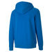 Puma TeamGOAL Casuals Hooded Jacket in blue