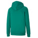 Puma TeamGOAL Casuals Hooded Jacket in green