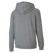 Puma TeamGOAL Casuals Hooded Jacket in grey