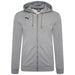 Puma TeamGOAL Casuals Hooded Jacket in grey