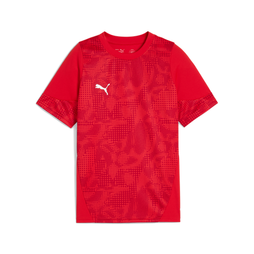 Puma Team CUP 25 Training Jersey in red