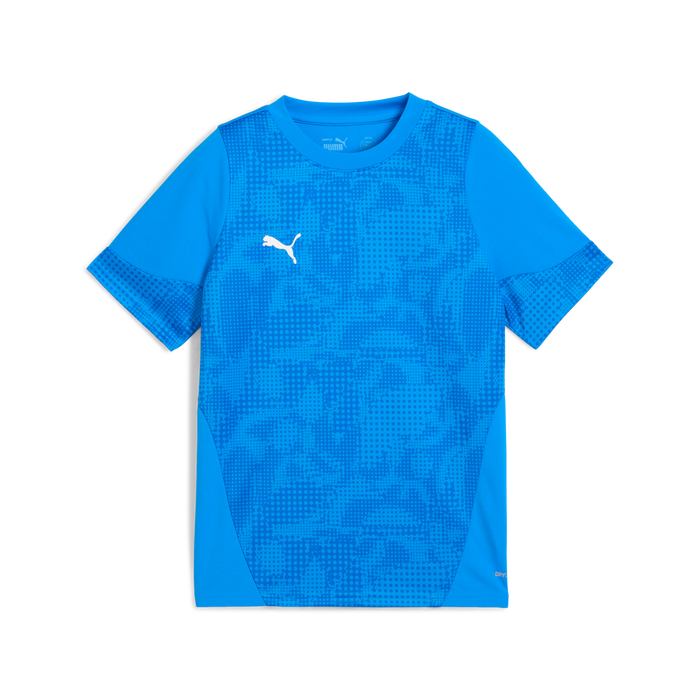 Puma Team CUP 25 Training Jersey in blue
