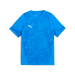 Puma Team CUP 25 Training Jersey in blue