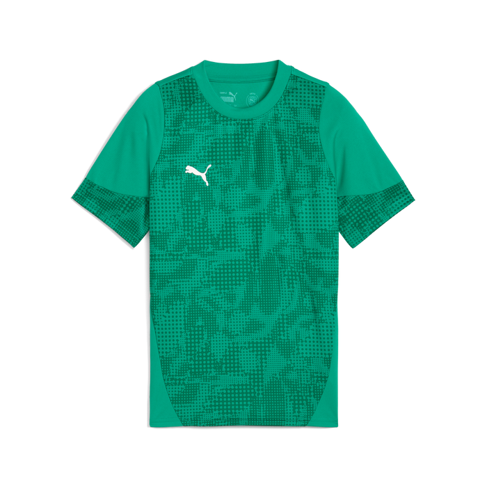 Puma Team CUP 25 Training Jersey in green