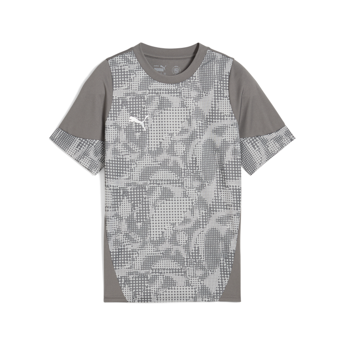 Puma Team CUP 25 Training Jersey in grey