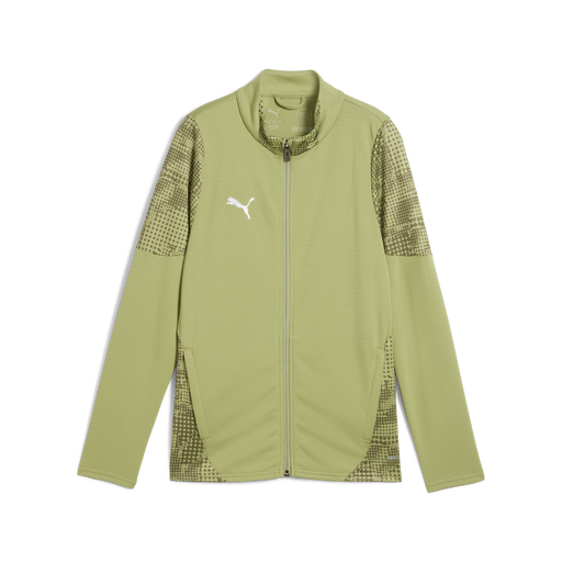 Puma Team CUP 25 Training Jacket in calming green/silver/olive