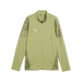 Puma Team CUP 25 Training Jacket in calming green/silver/olive