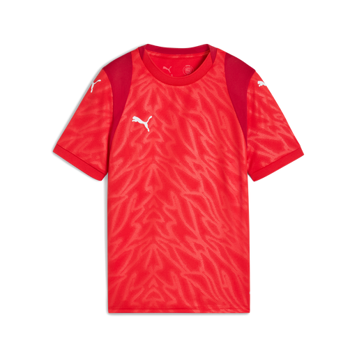 Puma Team CUP 25 Jersey in red