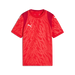 Puma Team CUP 25 Jersey in red