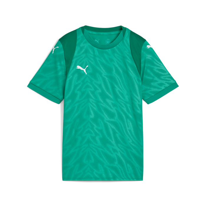 Puma Team CUP 25 Jersey in green