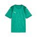 Puma Team CUP 25 Jersey in green