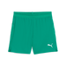 Puma Team CUP 25 Shorts in green