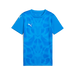 Puma Team ULTIMATE 25 Jersey in blue
