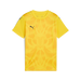 Puma Team ULTIMATE 25 Jersey in yellow