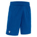 Blue shorts with a logo on a white background