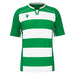 Green and white striped sports jersey on a white background