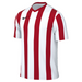 Nike Dri-Fit Striped Division V Short Sleeve Jersey in white/university red