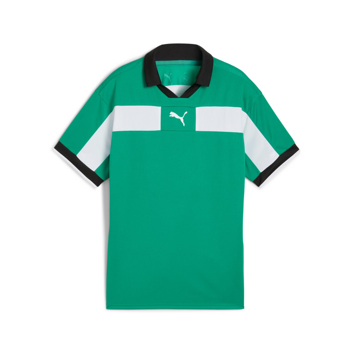 Puma Team CLASSIC 25 Match Jersey in green