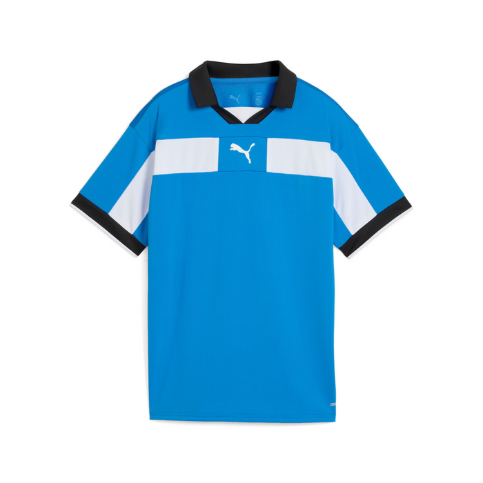 Puma Team CLASSIC 25 Match Jersey in blue