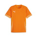 Puma Team Goal Matchday Short Sleeve Shirt in orange