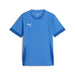 Puma Team Goal Matchday Short Sleeve Shirt in blue