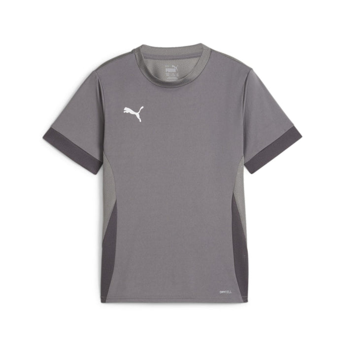 Puma Team Goal Matchday Short Sleeve Shirt in grey