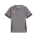Puma Team Goal Matchday Short Sleeve Shirt in grey