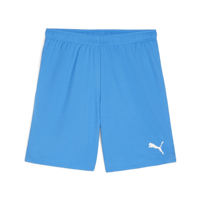 Puma Team Goal Shorts in blue