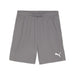 Puma Team Goal Shorts in grey