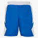 Blue athletic shorts with white accents on a white background